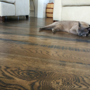 best wooden & laminate flooring